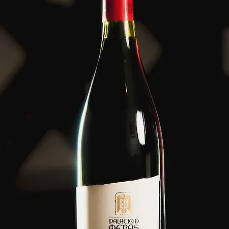 Palacio De Meras 4* Tineo