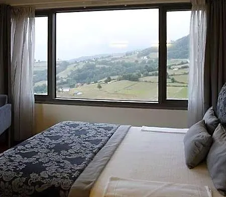 Otel Palacio De Meras Tineo