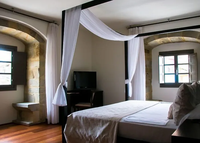 Hotel Palacio De Meras Tineo