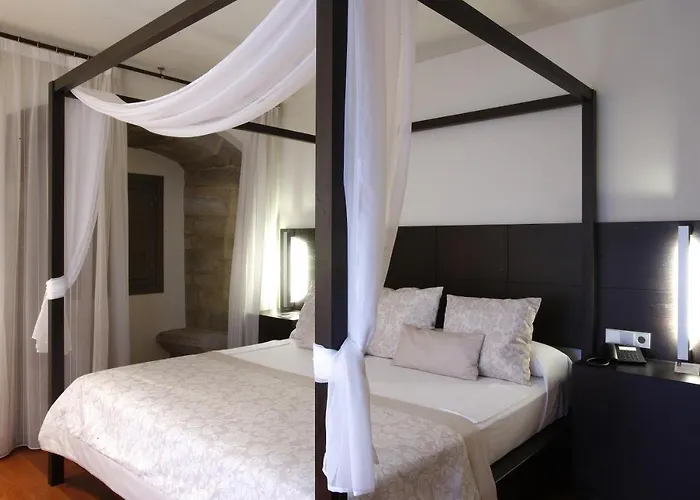 Hotel Palacio De Meras Tineo